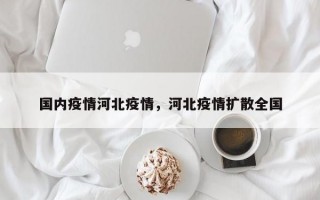 国内疫情河北疫情，河北疫情扩散全国