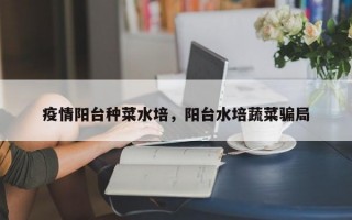疫情阳台种菜水培，阳台水培蔬菜骗局