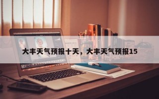 大丰天气预报十天，大丰天气预报15